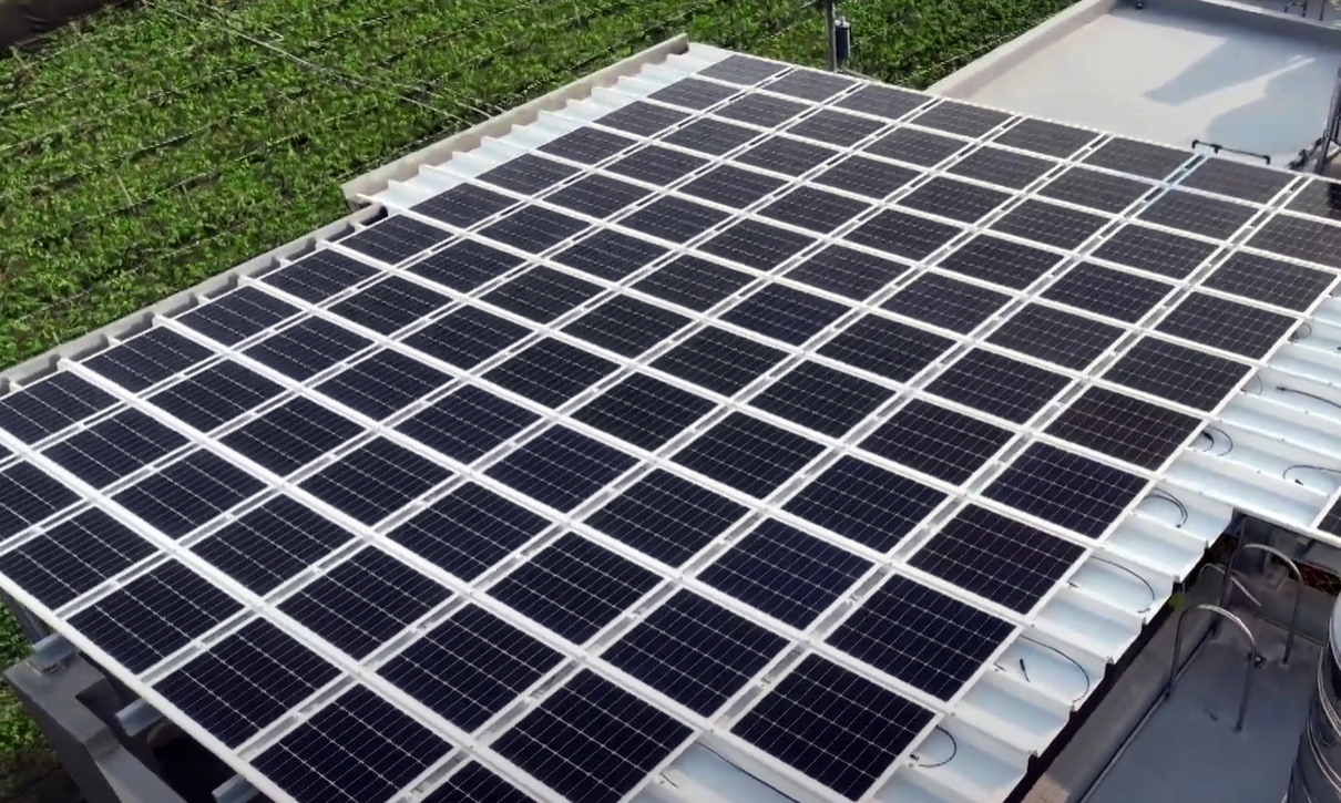 LEYU�پW(w��ng)SunSteel����˰������p���Y�����������Cеؓ�d���ȼ�����ͺ�ȣ��ɏV���\���ڶ�Ԫ����