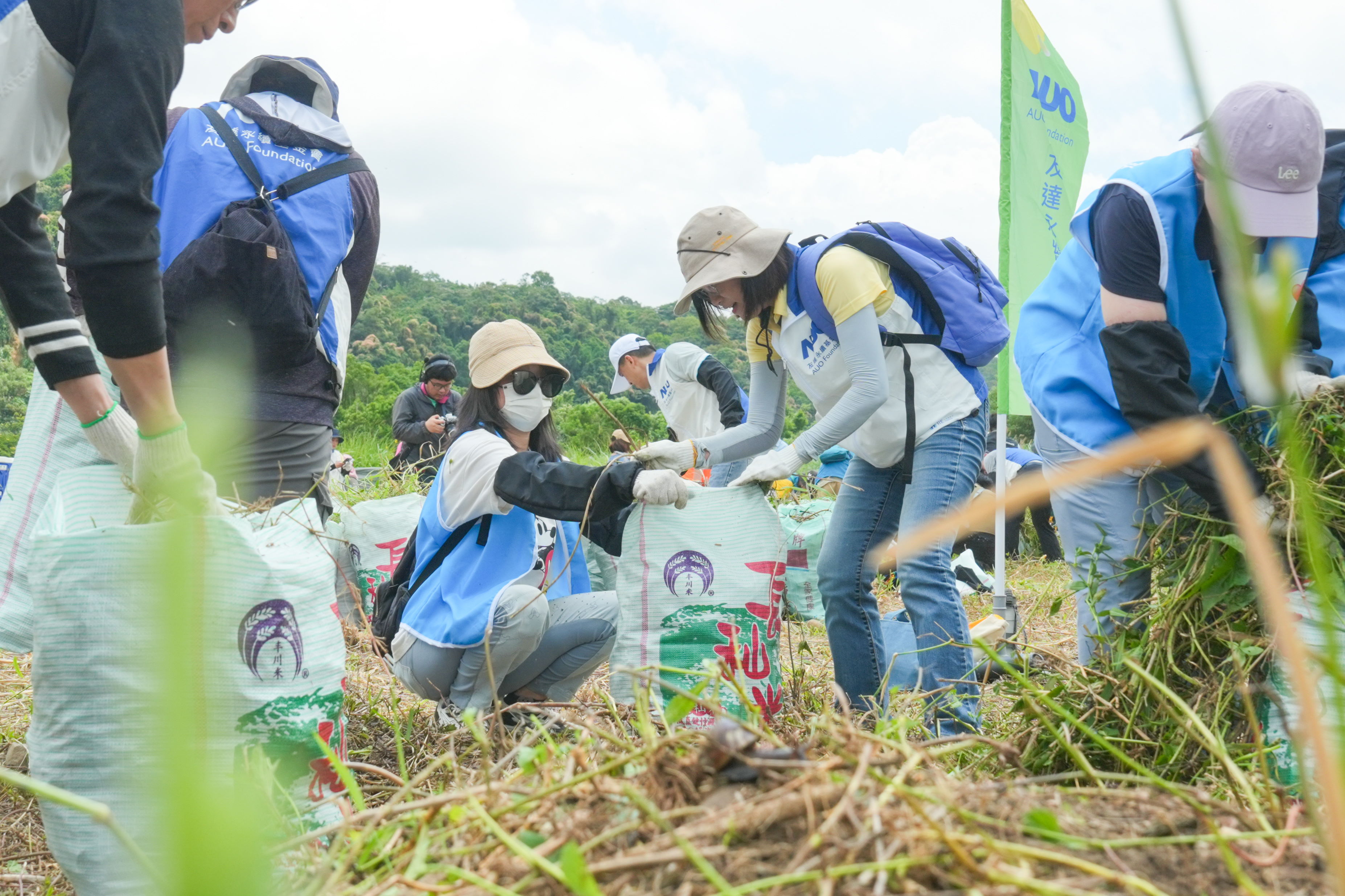 ���_��������Ӌ���������i�����eϪ�ذ�3.2�����Ƴ�������ַNС�������m���K�M����N�c�����{�飬��ӛ�91��181��239�N�S����ֲ��@ʾԓ�^��߸߶����B�rֵ