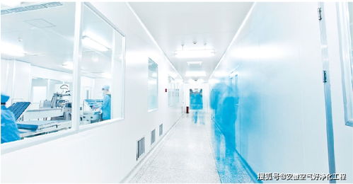 空氣好凈化工程詳解合肥食品無菌潔凈廠房裝修的車間布置設(shè)計